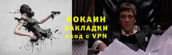 твердый Арсеньев