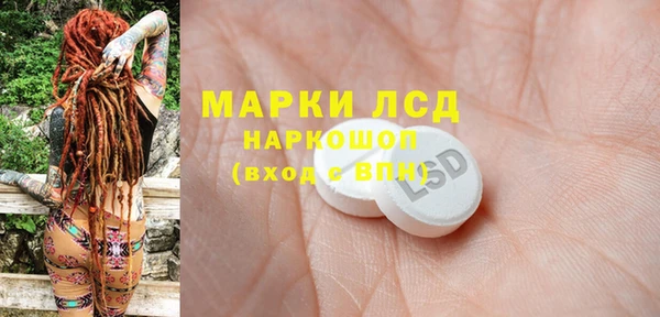 твердый Арсеньев