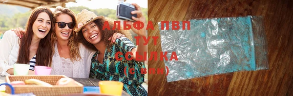 твердый Арсеньев