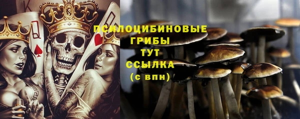 кокаин Аркадак