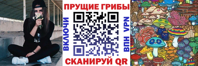 Псилоцибиновые грибы Psilocybe  Реж 